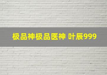 极品神极品医神 叶辰999